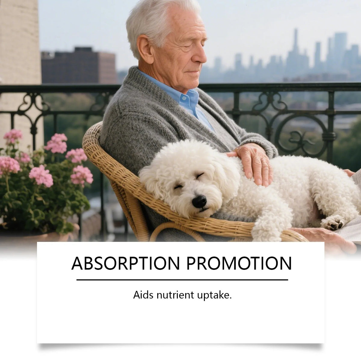 Kriath Dog Supplement Drops Promote Nutrient Absorption Improve Immune Defense Ability Gentle Formula Dog Oral Liquid Supplement