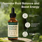 Lymphatic Drainage Drops 60ml Natural Herbal Circulatory Wellness