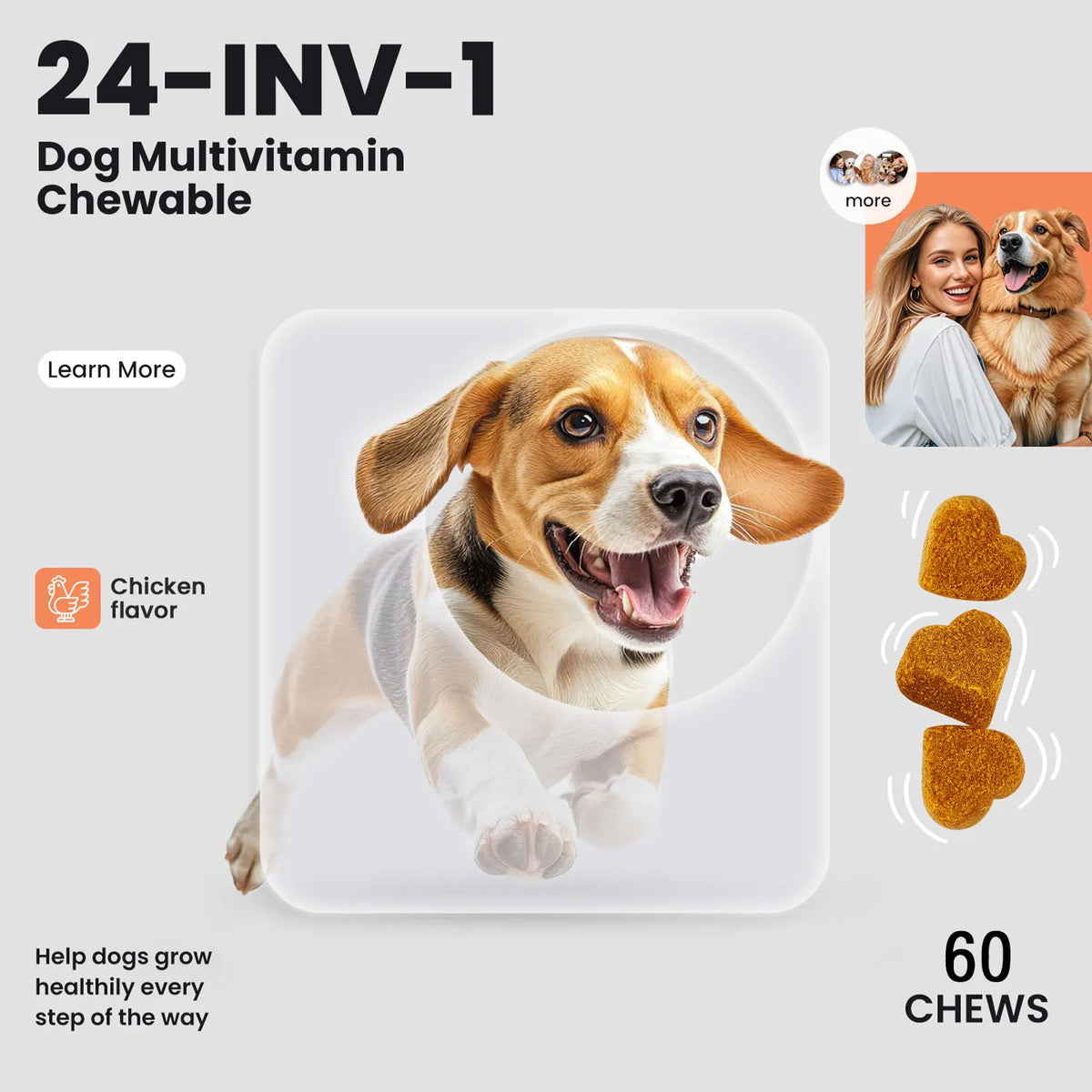 24-in-1 Dog Vitamins and Supplements Multivitamin Chewable for Dog Skin Coat Heart Joint Gut Liver Brain Eyes Immune Support
