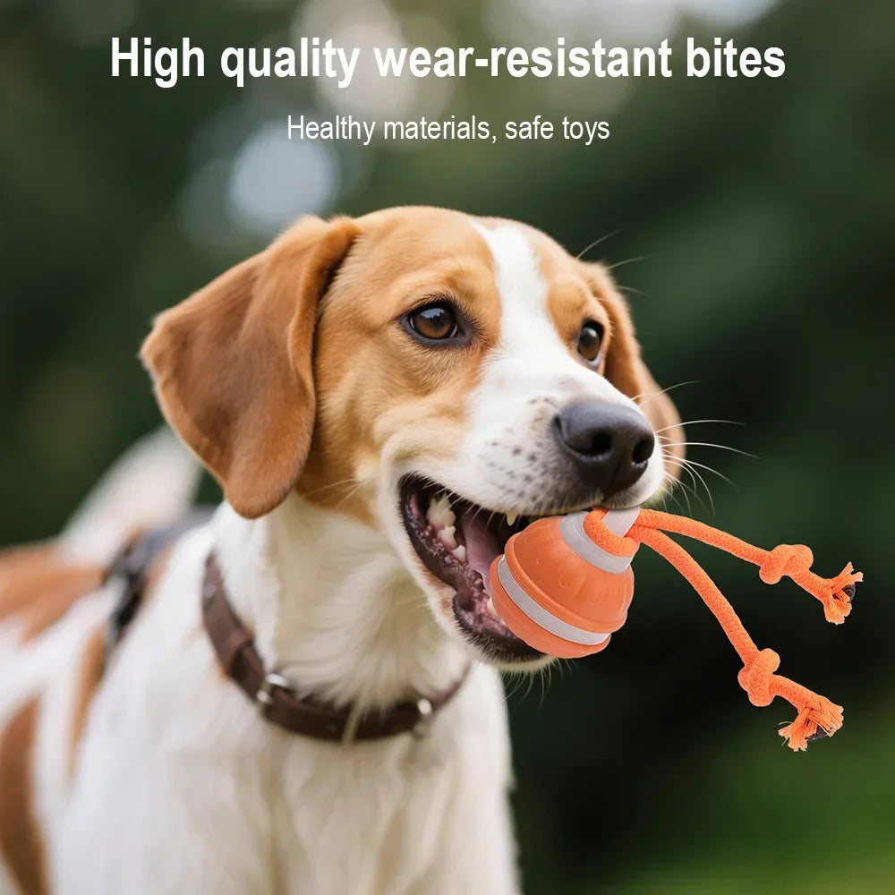 Smart Auto-Rolling Pet Ball Toy – Cat & Dog