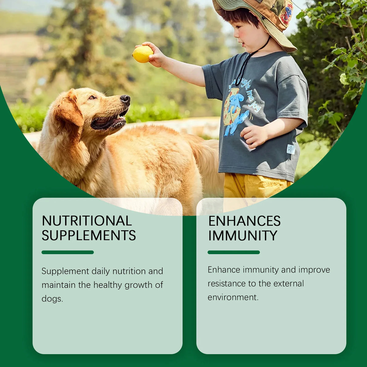 Dog Multivitamin Supplement - Gentle Formula for Relieving Skin Discomfort and Daily Nutritional Support with Essential Vitamins