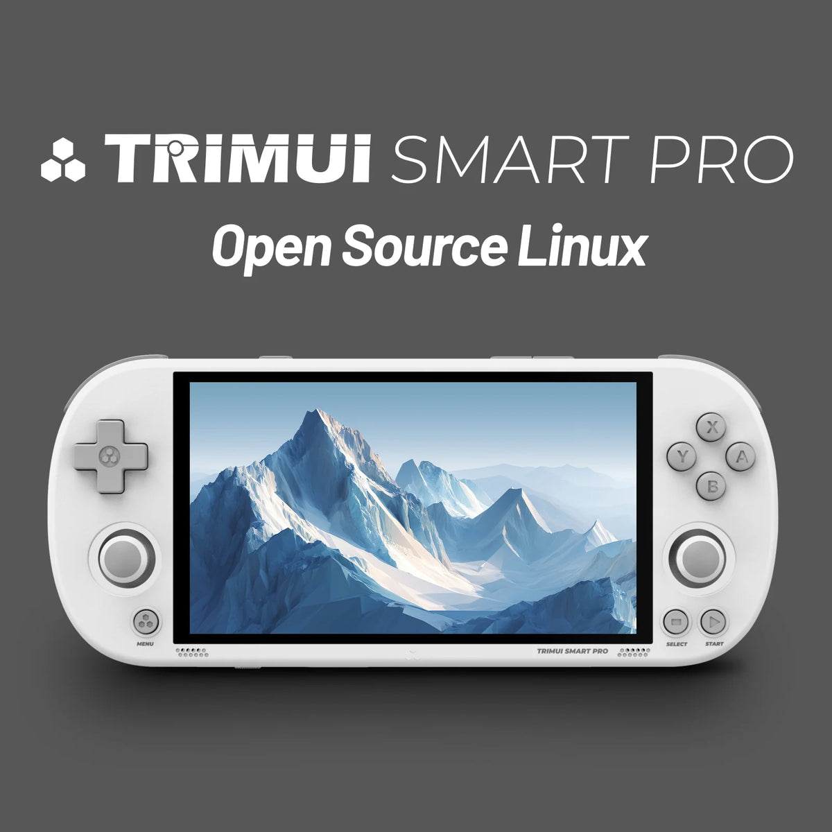 TRIMUI Smart Pro Handheld Game Players 4.96'' IPS Linux Emulator Portable Retro Video Game Consoles PSP Player Gift