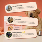 Turkey Tail Mushroom for Dogs - Lipoma Treatment for Dogs - Mushroom Supplement with Immune Support for Lipoma, Lumps & Bumps