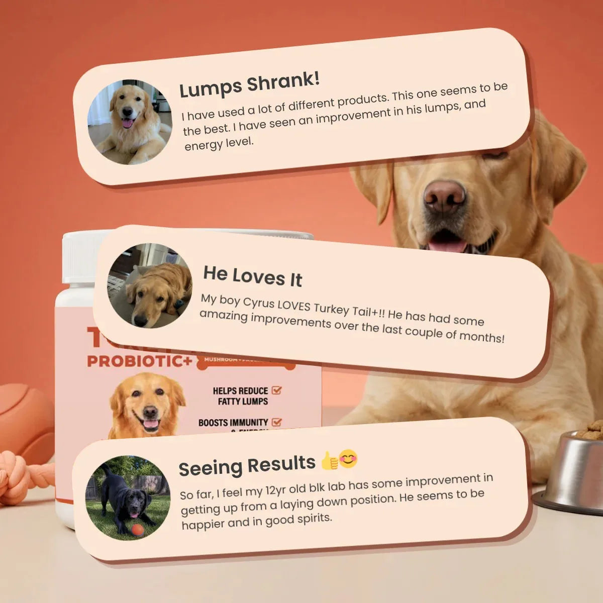 Turkey Tail Mushroom for Dogs - Lipoma Treatment for Dogs - Mushroom Supplement with Immune Support for Lipoma, Lumps & Bumps