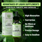 Liquid Chlorophyll Drops (4 Month Supply) Healthcare Supplement - Natural Deodorant and Detox - Gut Support Healthcare Liver