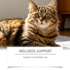 Cat Taurine Supplement Powder, Mild Formula Daily Nutrition Care Powder, Support Kitty Vitality & Wellness