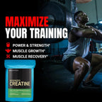 Creatine Monohydrate Transdermal Patches- Support Muscles, Cellular Energy and Cognitive Function - 32 Patches/bag