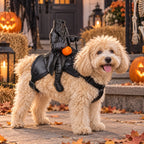Halloween Headless Horseman Pet Costume Small Cat Dog Outfit Pumpkin Doll Cloak Party Cosplay Clothes Holiday Decoration