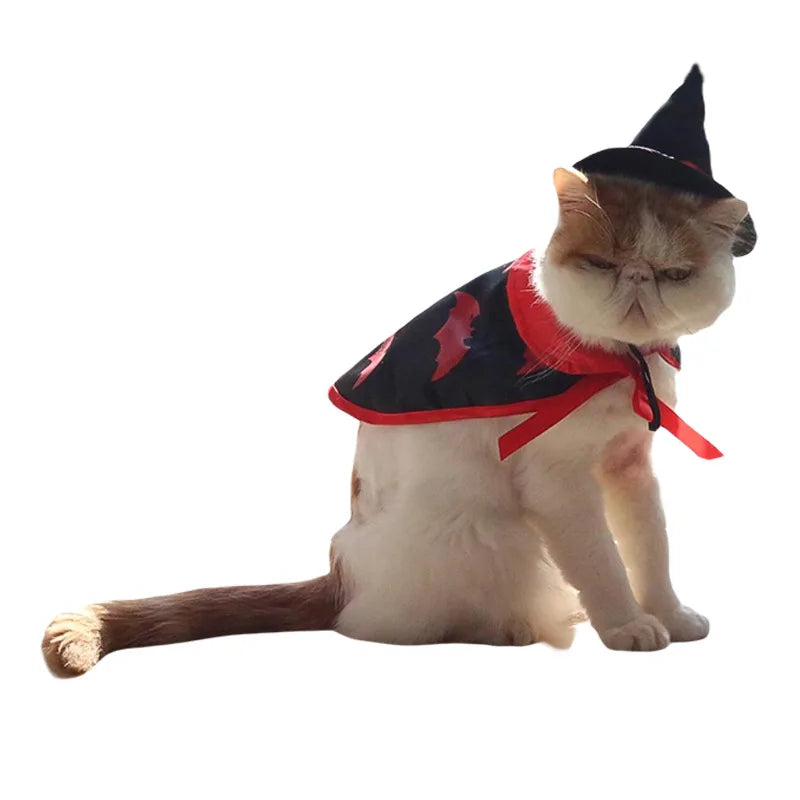 Halloween Pet Costume for Cats Breathable Soft Cute Pet Clothes Cloak Shape Pumpkin Pattern Harness Costume Cat Dog Cosplay Tool