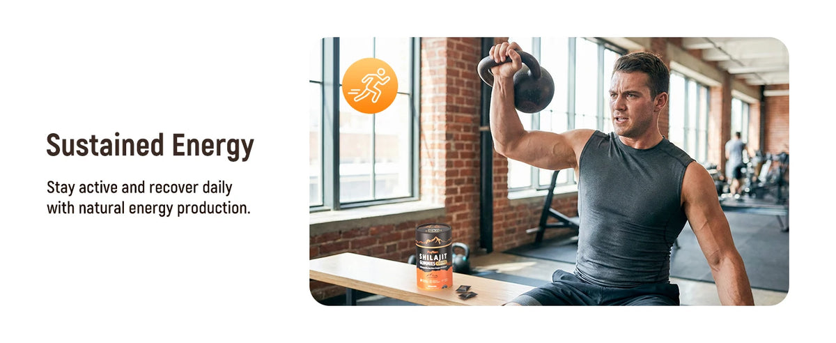 SHILAJIT GUMMIES Supplements Immune Health 4500MG